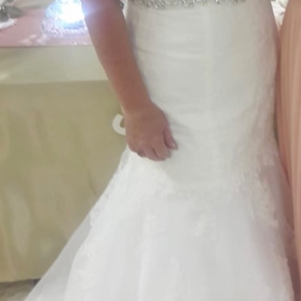 Wedding Dress - Picture 3 of 8